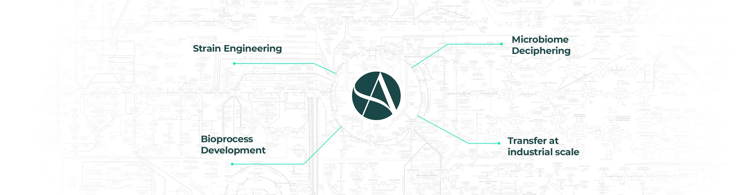 bioprocess-development